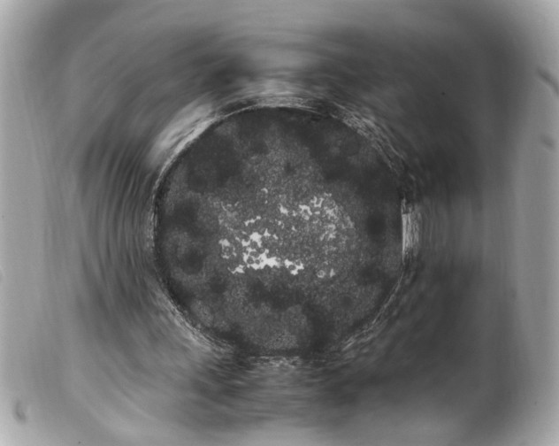 X0000100220243200805301352