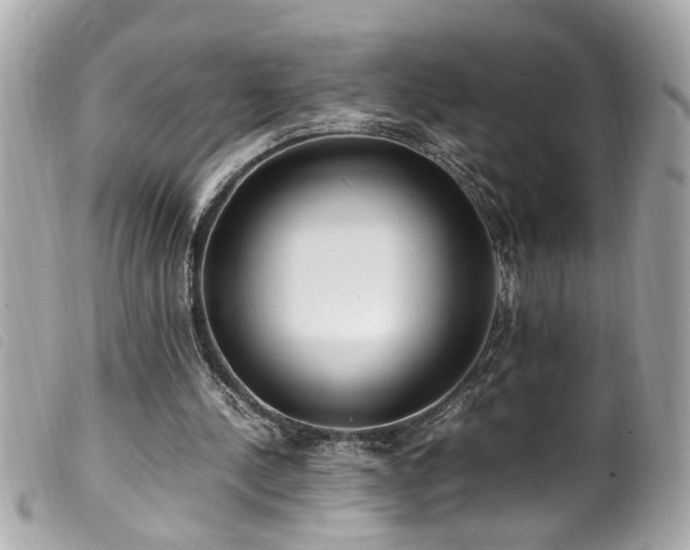 X0000100220244200805301352