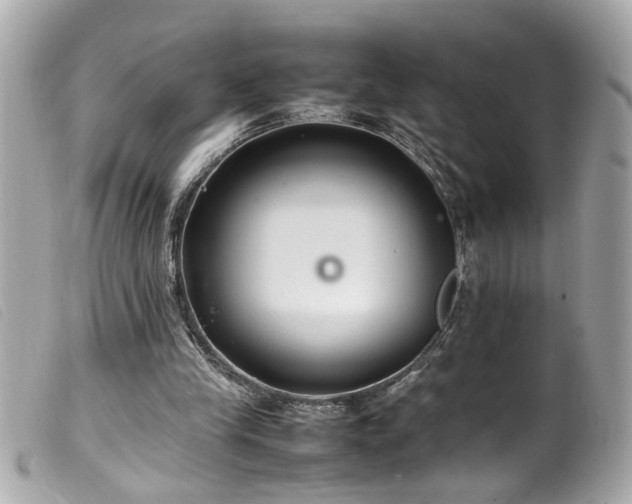 X0000100220245200805301352