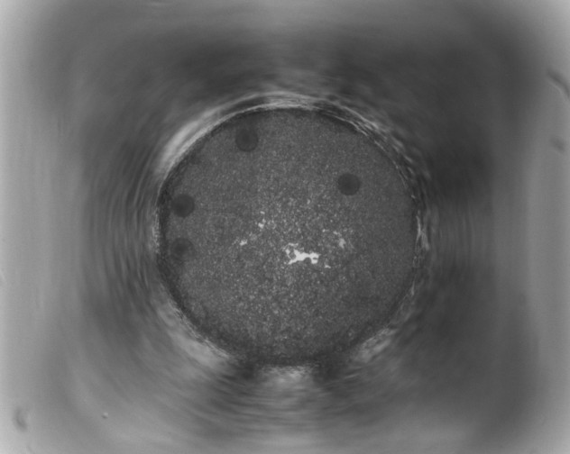 X0000100220247200805301352