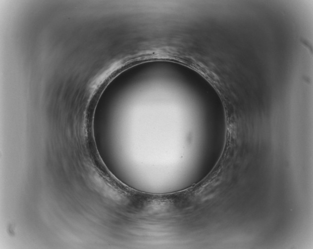 X0000100220248200805301352