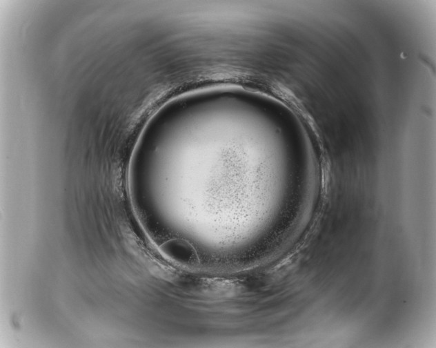 X0000100220249200805301352