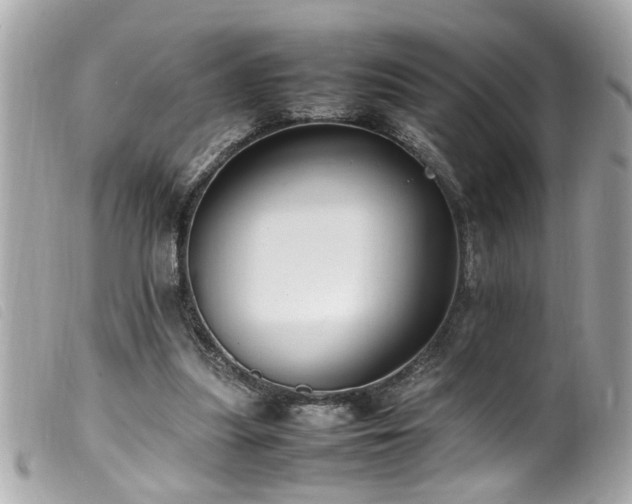 X0000100220251200805301352