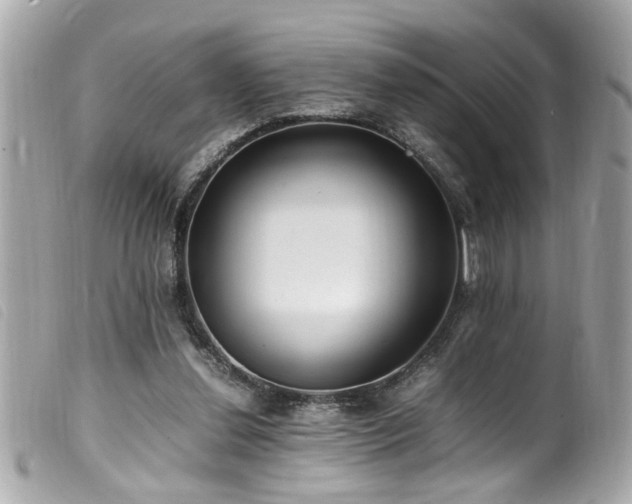 X0000100220252200805301353