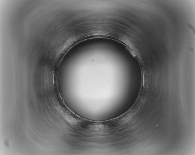 X0000100220253200805301353