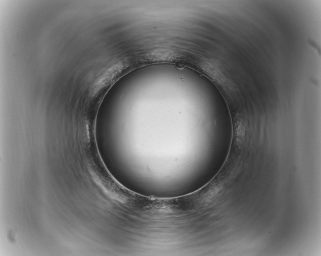 X0000100220254200805301353