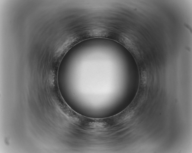 X0000100220255200805301353