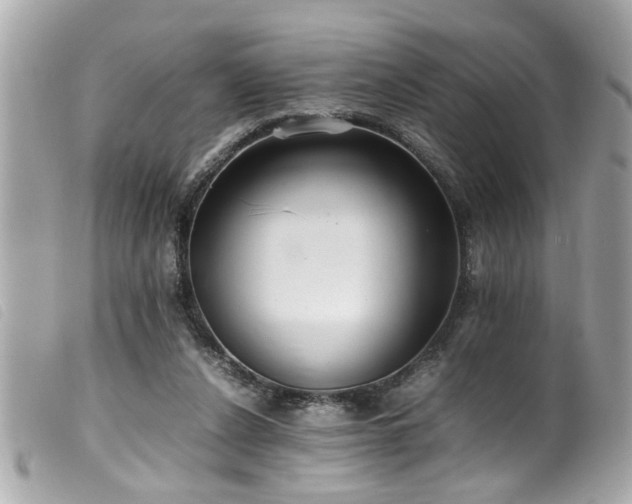 X0000100220256200805301353