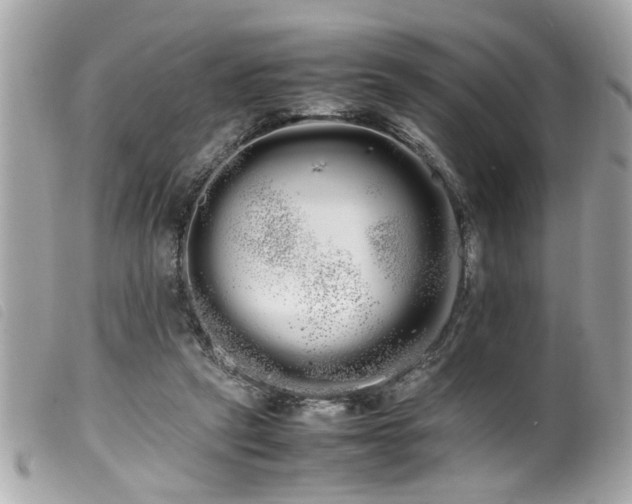 X0000100220257200805301353