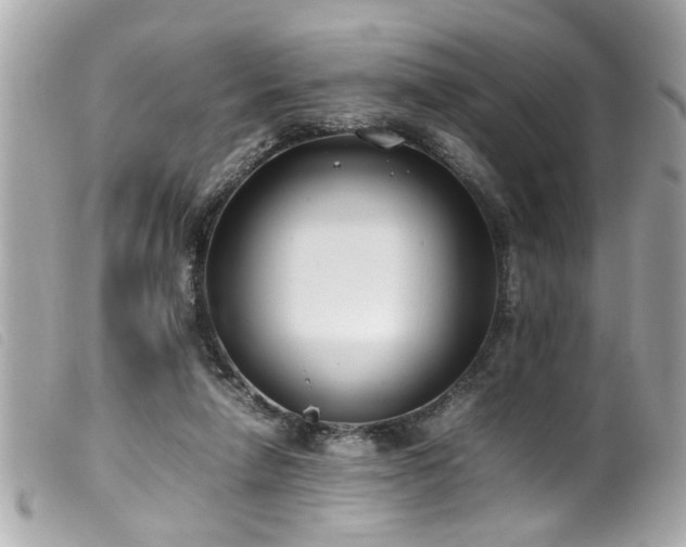 X0000100220258200805301353