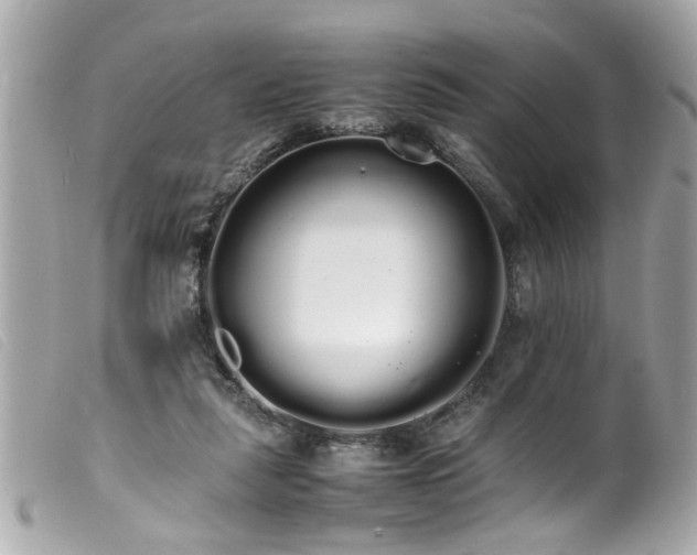 X0000100220259200805301353