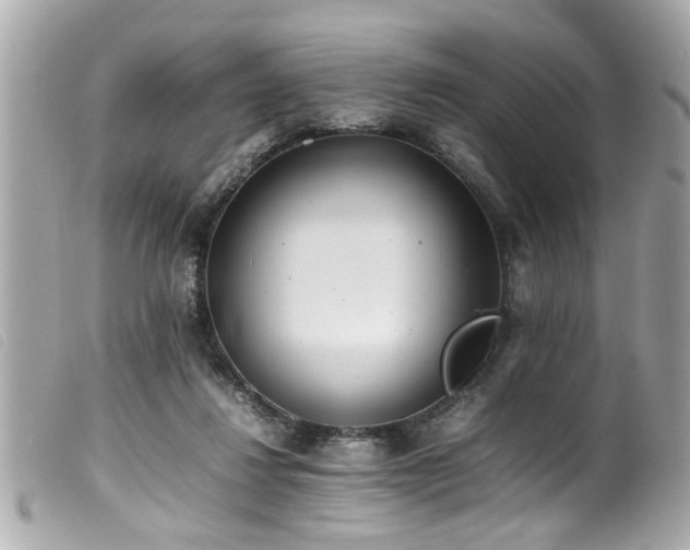 X0000100220260200805301353