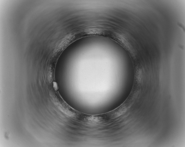 X0000100220261200805301353