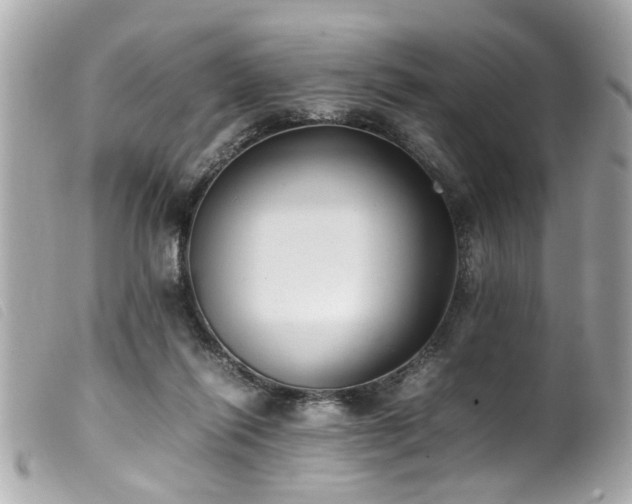 X0000100220262200805301353