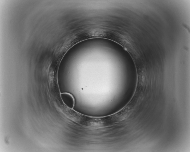 X0000100220263200805301353