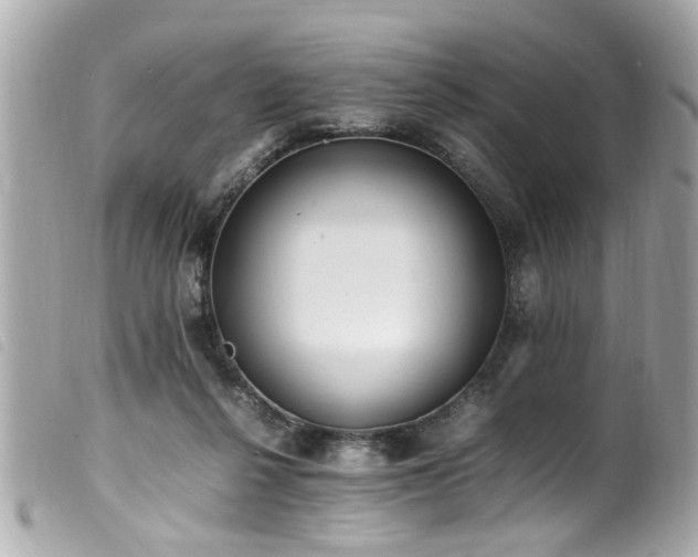 X0000100220264200805301353