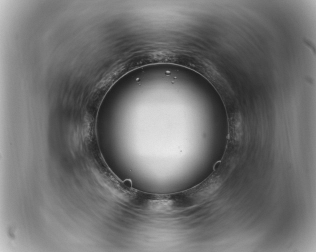 X0000100220266200805301353