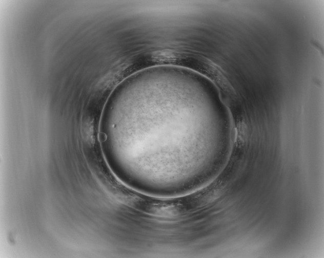 X0000100220267200805301353