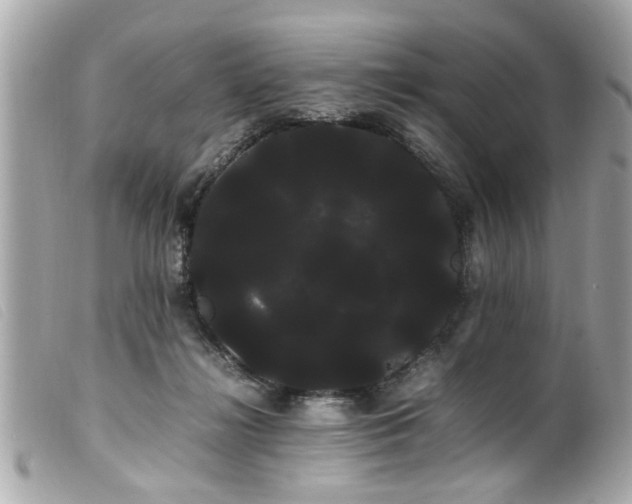 X0000100220268200805301353