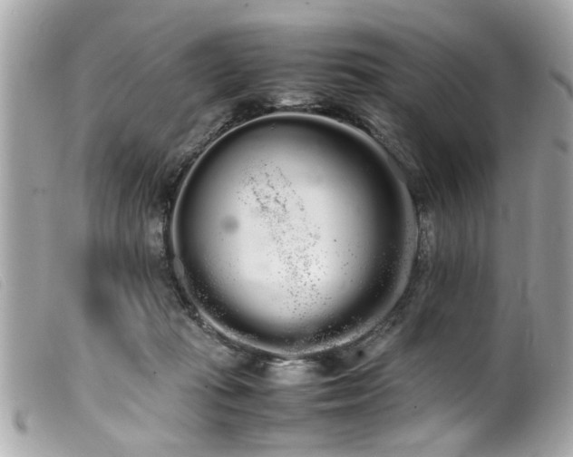 X0000100220269200805301353