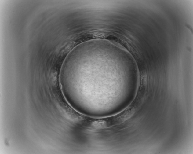 X0000100220271200805301353