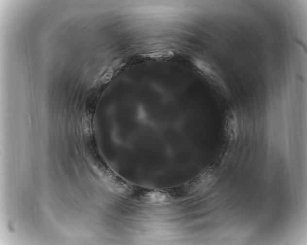 X0000100220272200805301353