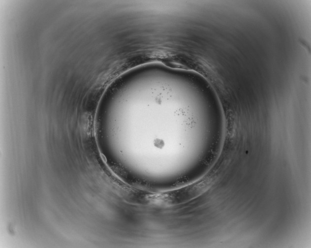 X0000100220273200805301353