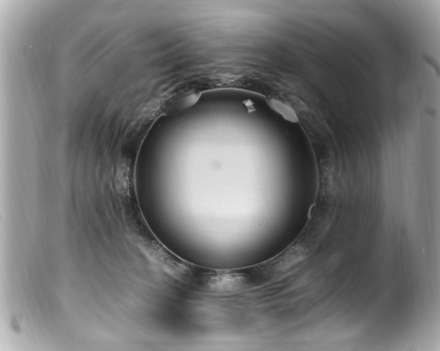 X0000100220274200805301353