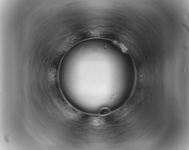 X0000100220275200805301353