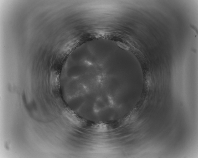 X0000100220276200805301353