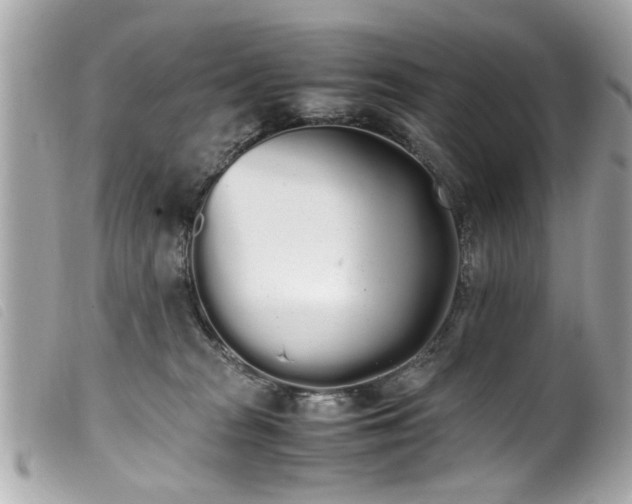 X0000100220277200805301353