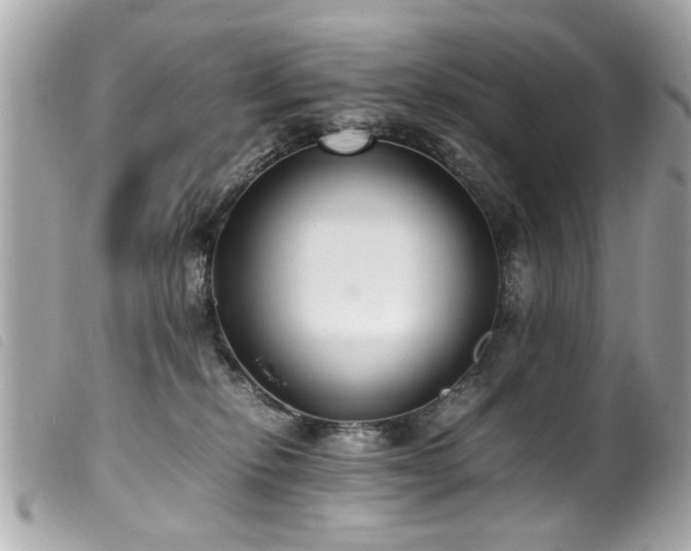 X0000100220278200805301353