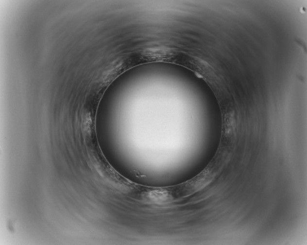 X0000100220279200805301353