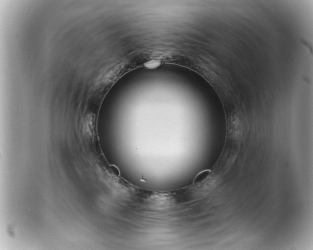 X0000100220280200805301353