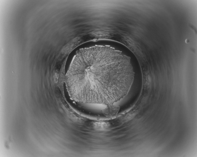 X0000100220281200805301353