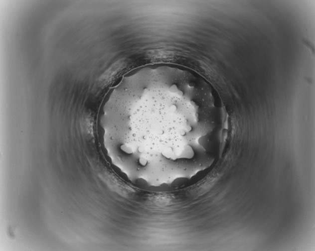 X0000100220282200805301353