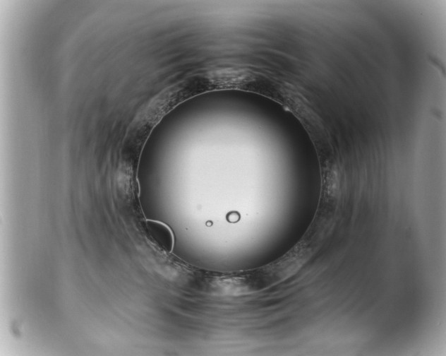 X0000100220283200805301353