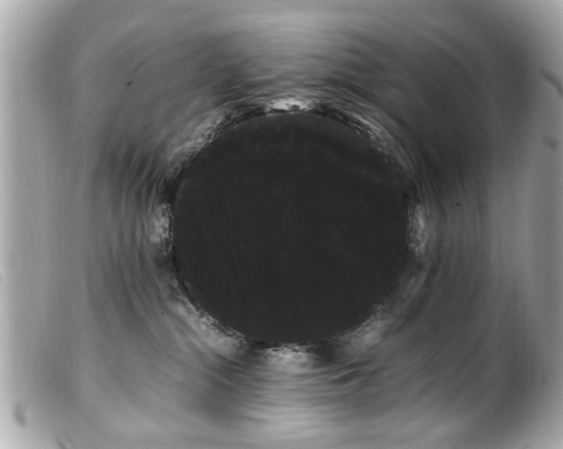 X0000100220284200805301353