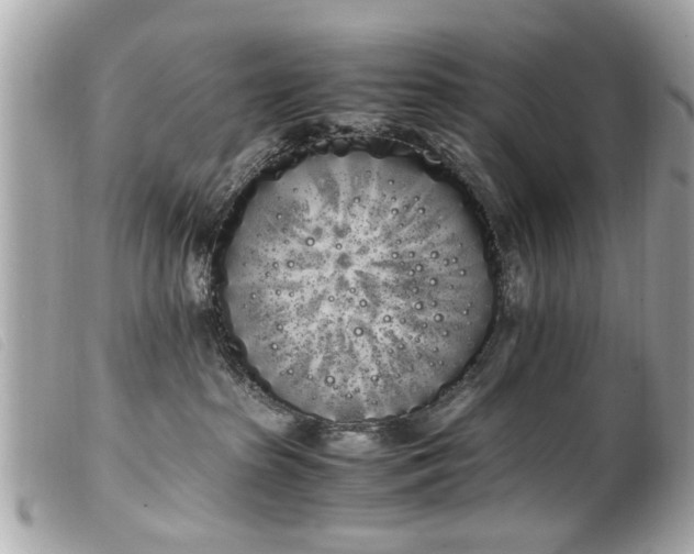 X0000100220285200805301353