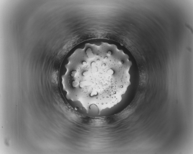 X0000100220286200805301353