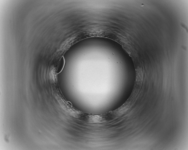 X0000100220287200805301353