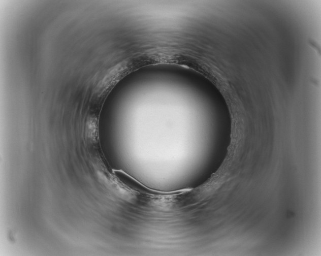 X0000100220288200805301353