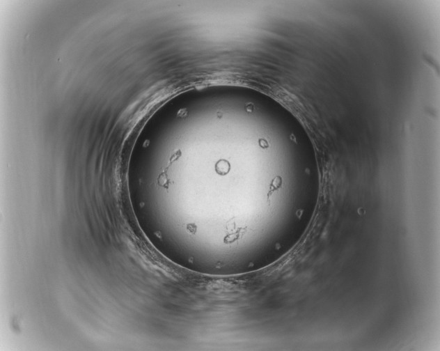 X0000100220290200805301352