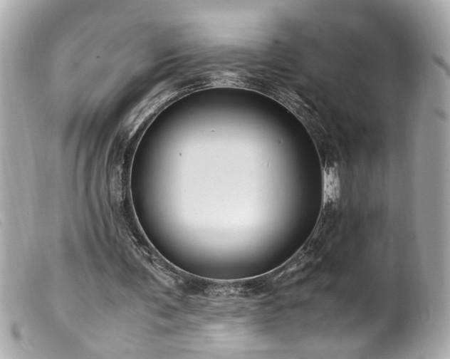 X0000100220291200805301352