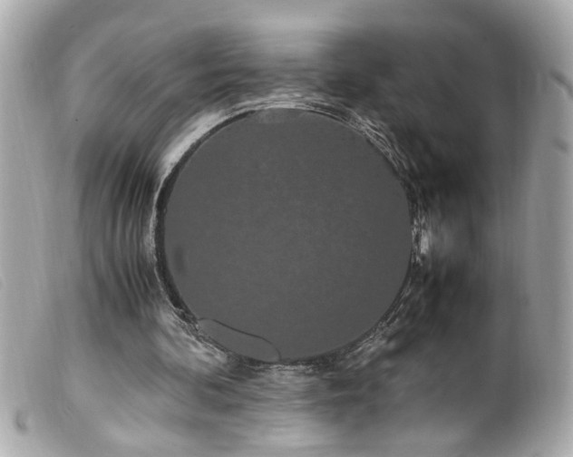 X0000100220292200805301352