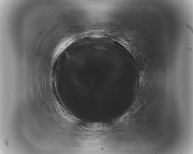 X0000100220293200805301352