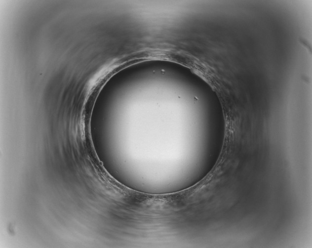 X0000100220294200805301352