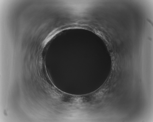 X0000100220295200805301352