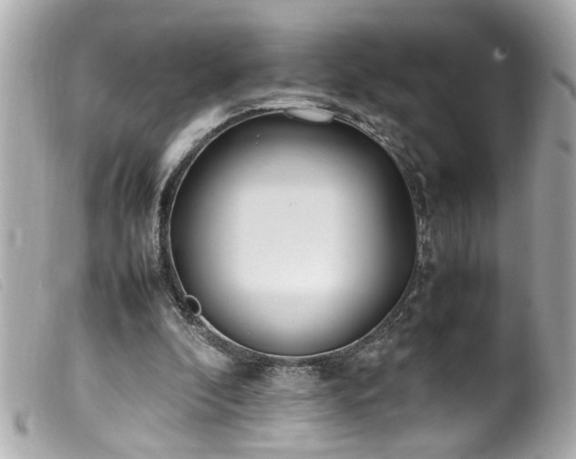 X0000100220296200805301352