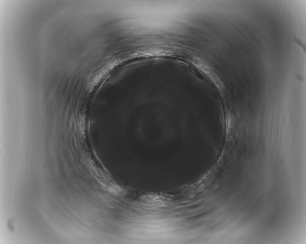 X0000100220297200805301352